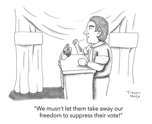 "We mustn't let them take away our freedom to suppress their vote!"