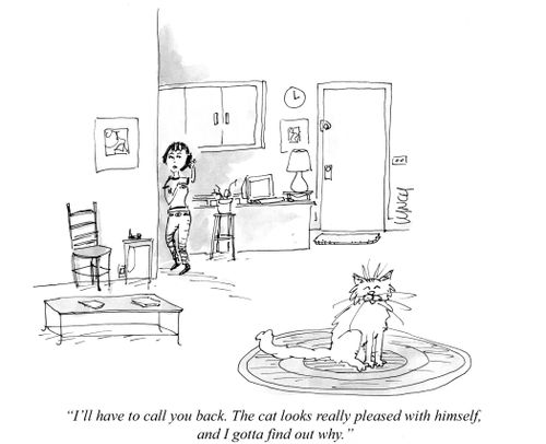 "I'll have to call you back. The cat looks really pleased with himself, and I gotta find out why."