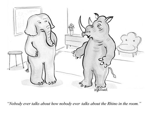 "Nobody ever talks about how nobody ever talks about the Rhino in the room."