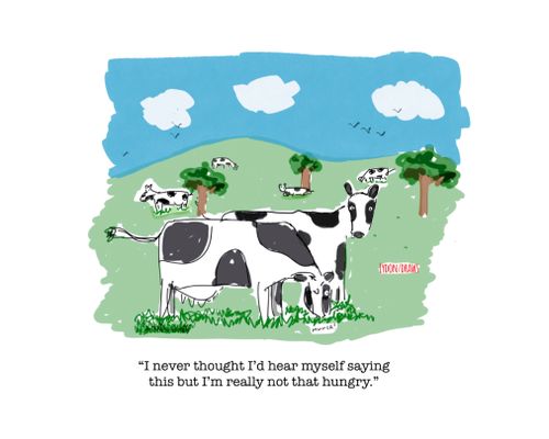 "I never thought I'd hear myself saying this but I'm really not that hungry."