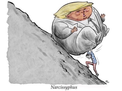 Narcissyphus