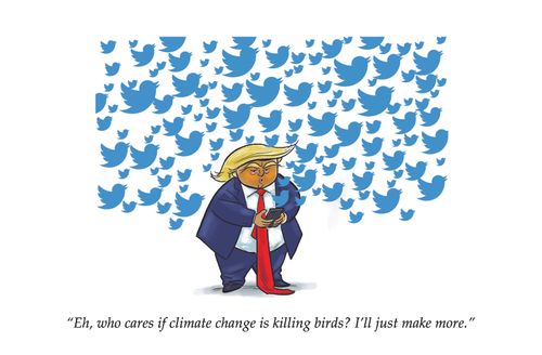 "Eh, who cares if climate change is killing birds? I'll just make more."