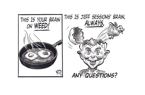 This is your brain on weed! This is Jeff Sessions' brain, always.