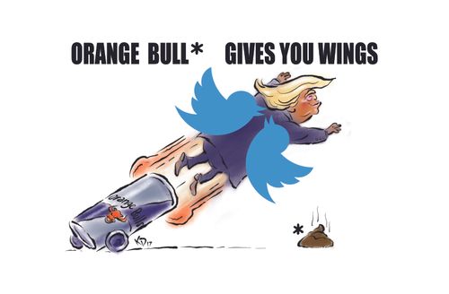 Orange Bull