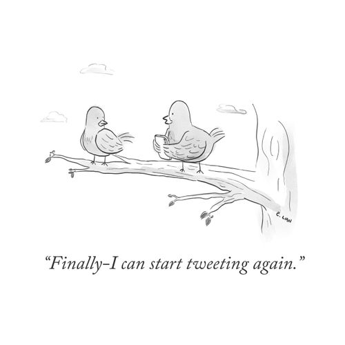 First Tweets of Spring