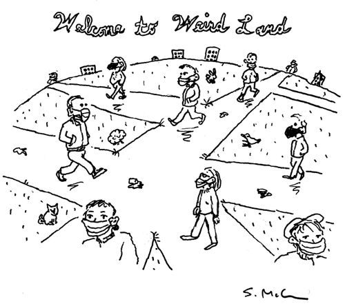 Welcome to Weird Land 