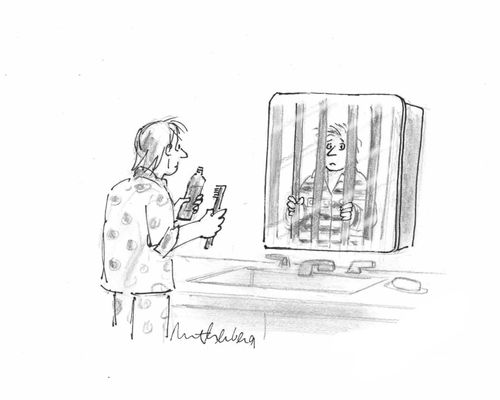An imprisoned reflection