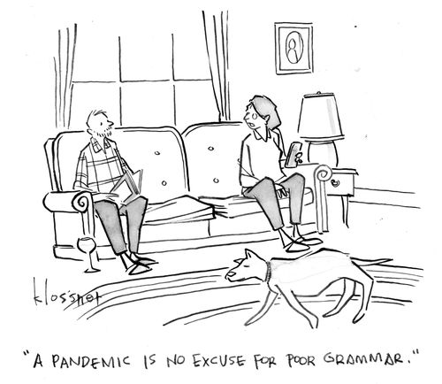 "A pandemic is no excuse for poor grammar."