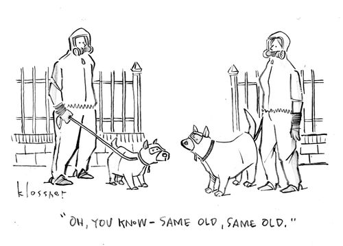 "Oh, you know - same old, same old,