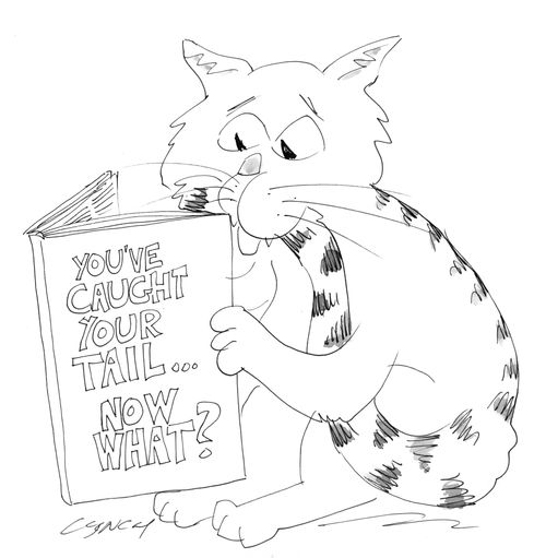 You've caught your tail... now what?