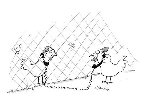 Chicken visiting hours