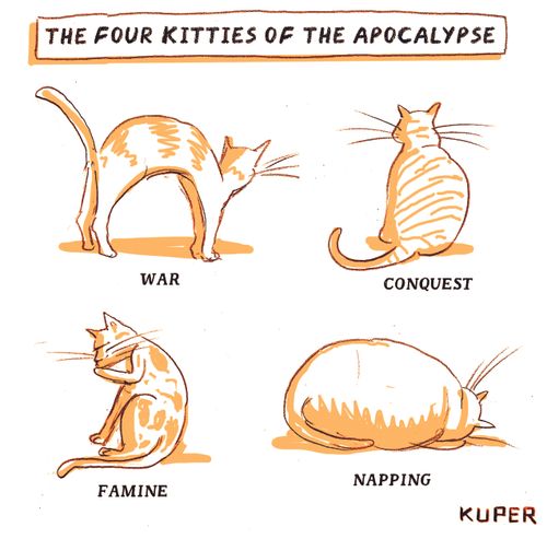 The four kitties of the apocalypse