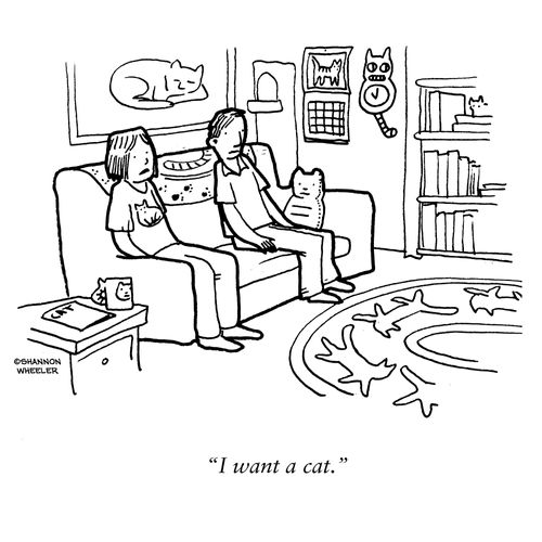 "I want a cat."