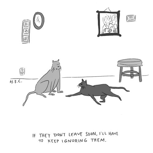 "If they don't leave soon, I'll have to keep ignoring them."
