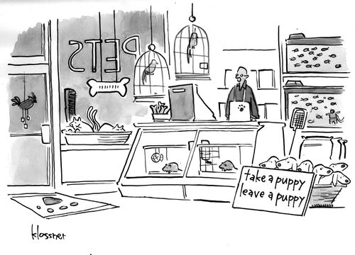 Take a puppy, leave a puppy