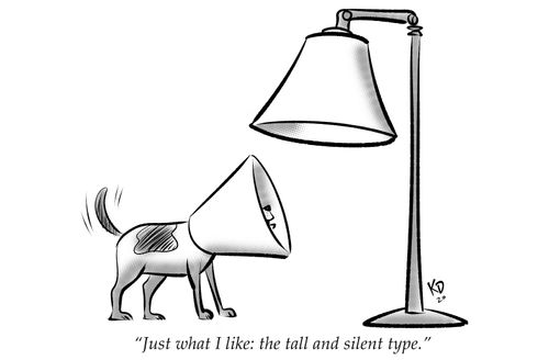 "Just what I like: the tall and silent type"