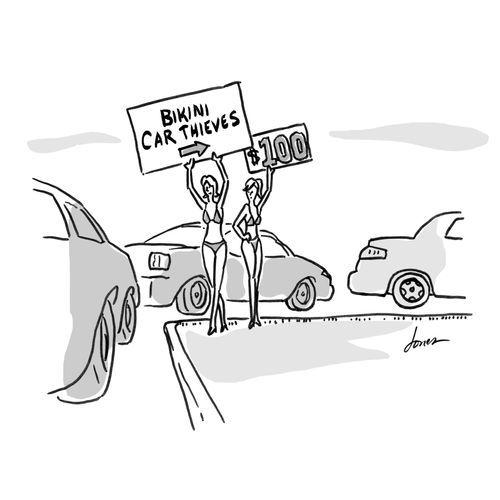 Bikini Car Thieves $100