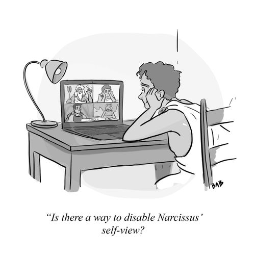 "Is there a way to disable Narcissus' self-view?"