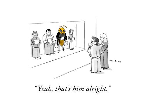 "Yeah, that's him alright."