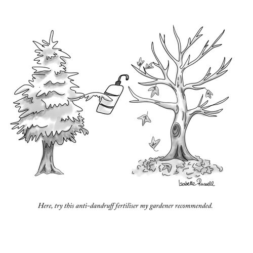 "Here, try this anti-dandruff fertiliser my gardener recommended."