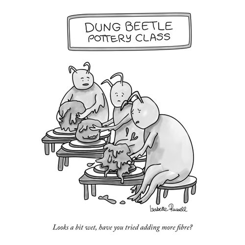 Dung Beetle Pottery Class.