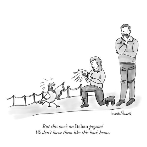 "But this one's an Italian pigeon!  We don't have them like this back home."