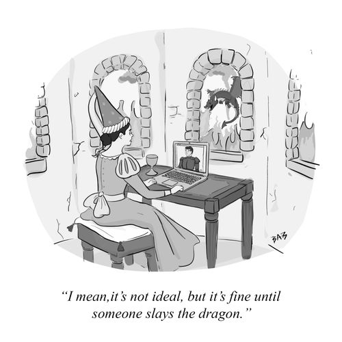 "I mean, it's not idea, but it's fine intil someone slays the dragon."