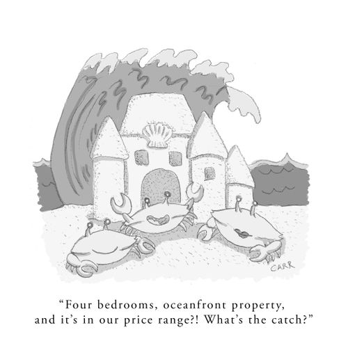 "Four bedrooms, oceanfront property, and it's in our price range?! What's the catch?"