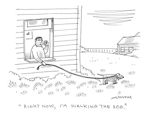 "Right now, I'm walking the dog."