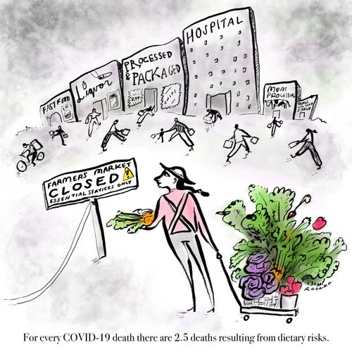 For every Covid-19 death there are 2.5 deaths resulting from dietary risks.