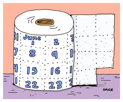 Toilet paper calendar