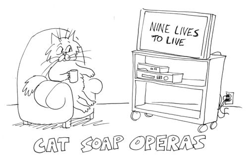 Cat soap operas