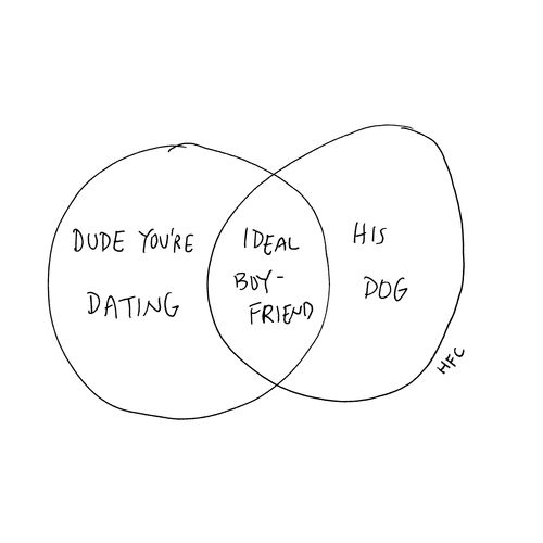 Dude you're dating, ideal boyfriend, his dog