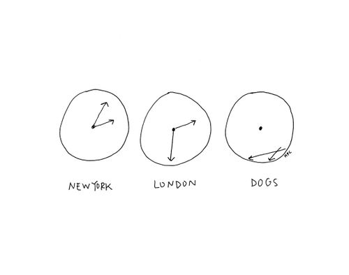 New York. London. Dogs.