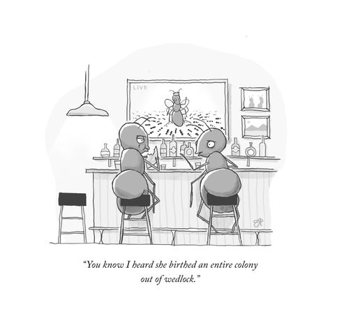"You know I heard she birthed an entire colony out of wedlock."