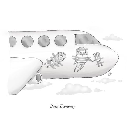 Basic economy 