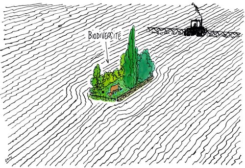Biodiversité