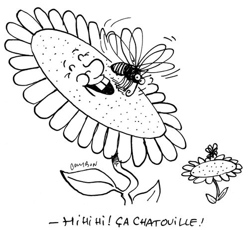 "Hi hi hi! ça choutille!"