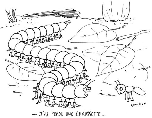 "J'ai perdu une chausette..."