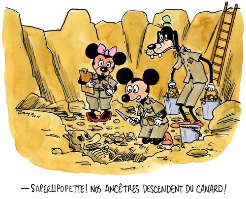 "Saperlipopette! Nos ancetres descendent du canard!"