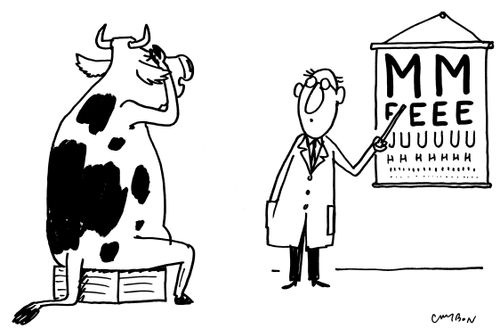 Cow Eyetest