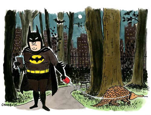 Batman and the pangolin.