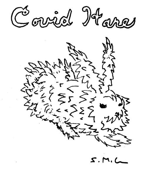 COVID Hare