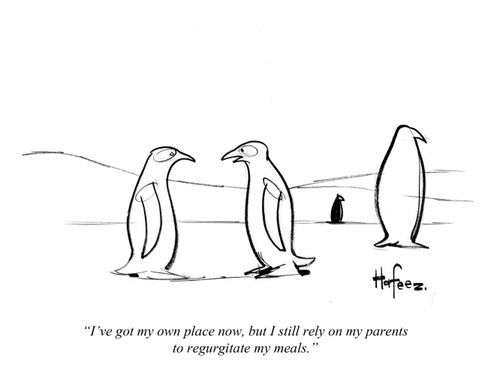 "I've got my own place now, but I still rely on my parents to regurgitate my meals."
