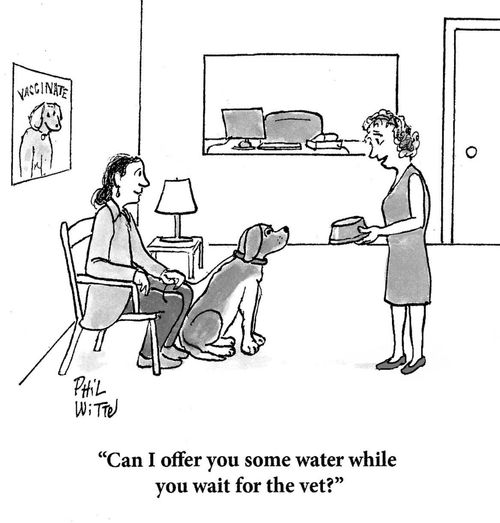 "Can I offer you some water while you wait for the vet?"