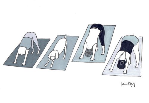 Down dog