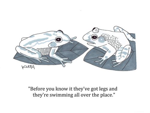 "Before you know it they've got legs and they're swimming all over the place."