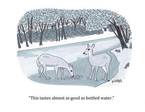"This tastes almost as good as bottled water."