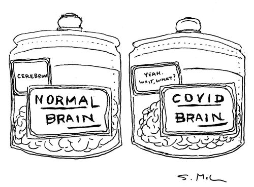 NORMAL BRAIN / COVID BRAIN 