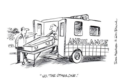 "No, the other one."